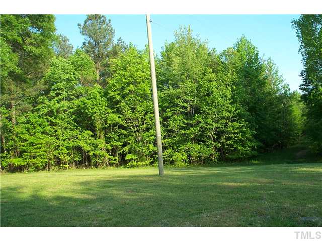 Stockyard Road, Unit A & B Staley, NC 27355 - Photo 3 of 4 a big yard with lots of green space