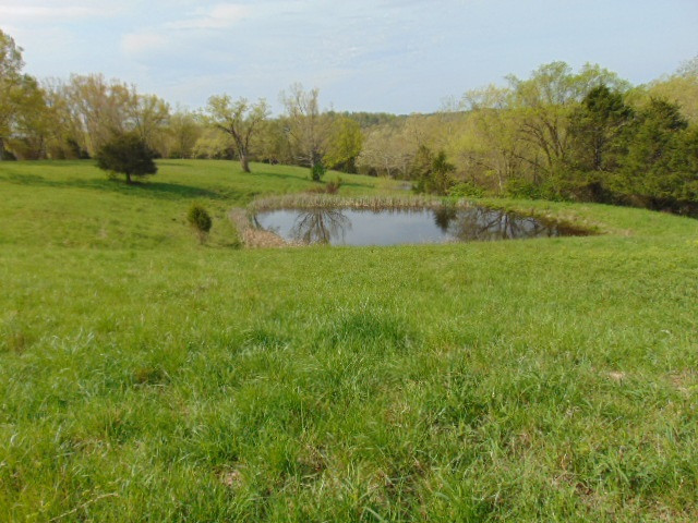 Cull Road Worthville, KY 41098 - Photo 18 of 29 Gallery Image 18