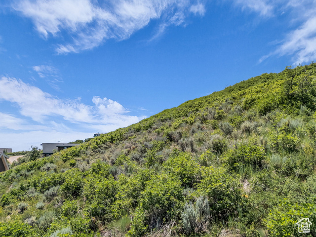 293 Ridge Top Road, Unit 184 Coalville, UT 84017 - Photo 18 of 26 View of mountain background