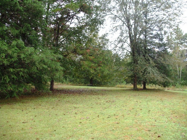246 Newton Road, Unit SENECA Seneca, SC 29678 - Photo 3 of 46 Gallery Image 3