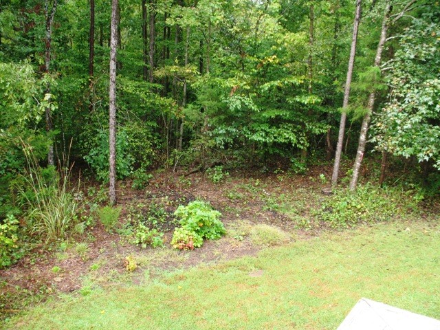 246 Newton Road, Unit SENECA Seneca, SC 29678 - Photo 33 of 46 Gallery Image 33
