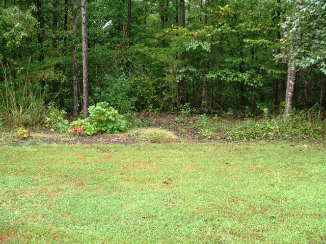 246 Newton Road, Unit SENECA Seneca, SC 29678 - Photo 37 of 46 Gallery Image 37