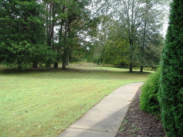 246 Newton Road, Unit SENECA Seneca, SC 29678 - Photo 43 of 46 Gallery Image 43