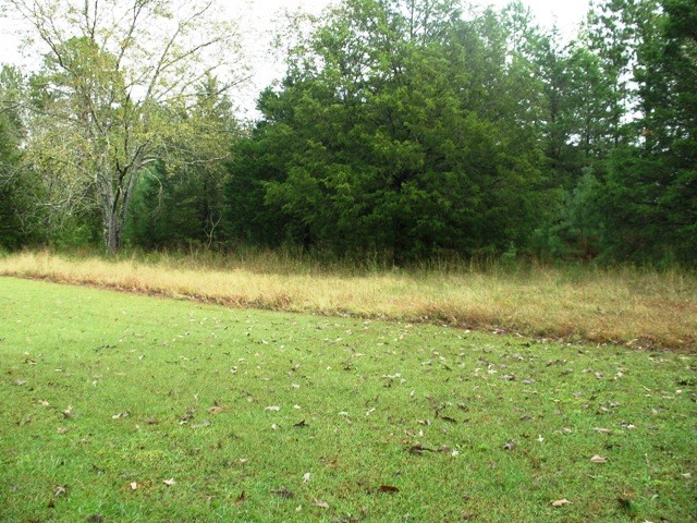 246 Newton Road, Unit SENECA Seneca, SC 29678 - Photo 46 of 46 Gallery Image 46