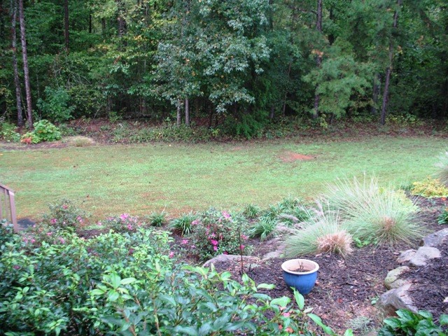 246 Newton Road, Unit SENECA Seneca, SC 29678 - Photo 7 of 46 Gallery Image 7