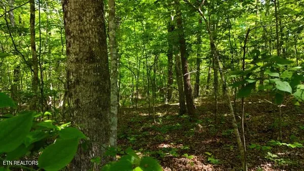 $180,000 | Lot 37-38a Crowe Circle, Soddy-Daisy, TN 37379