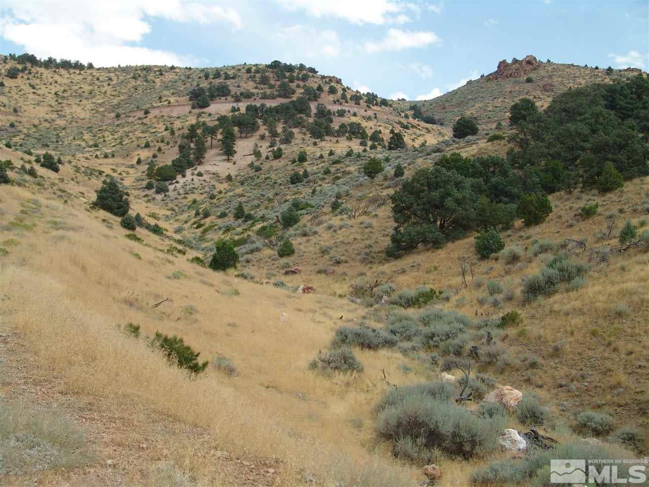 Temple Hill Reno, NV 89521 - Photo 1 of 1 a view of a dry yard with mountains in the background