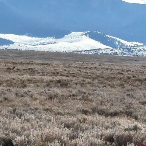 a view of a dry yard