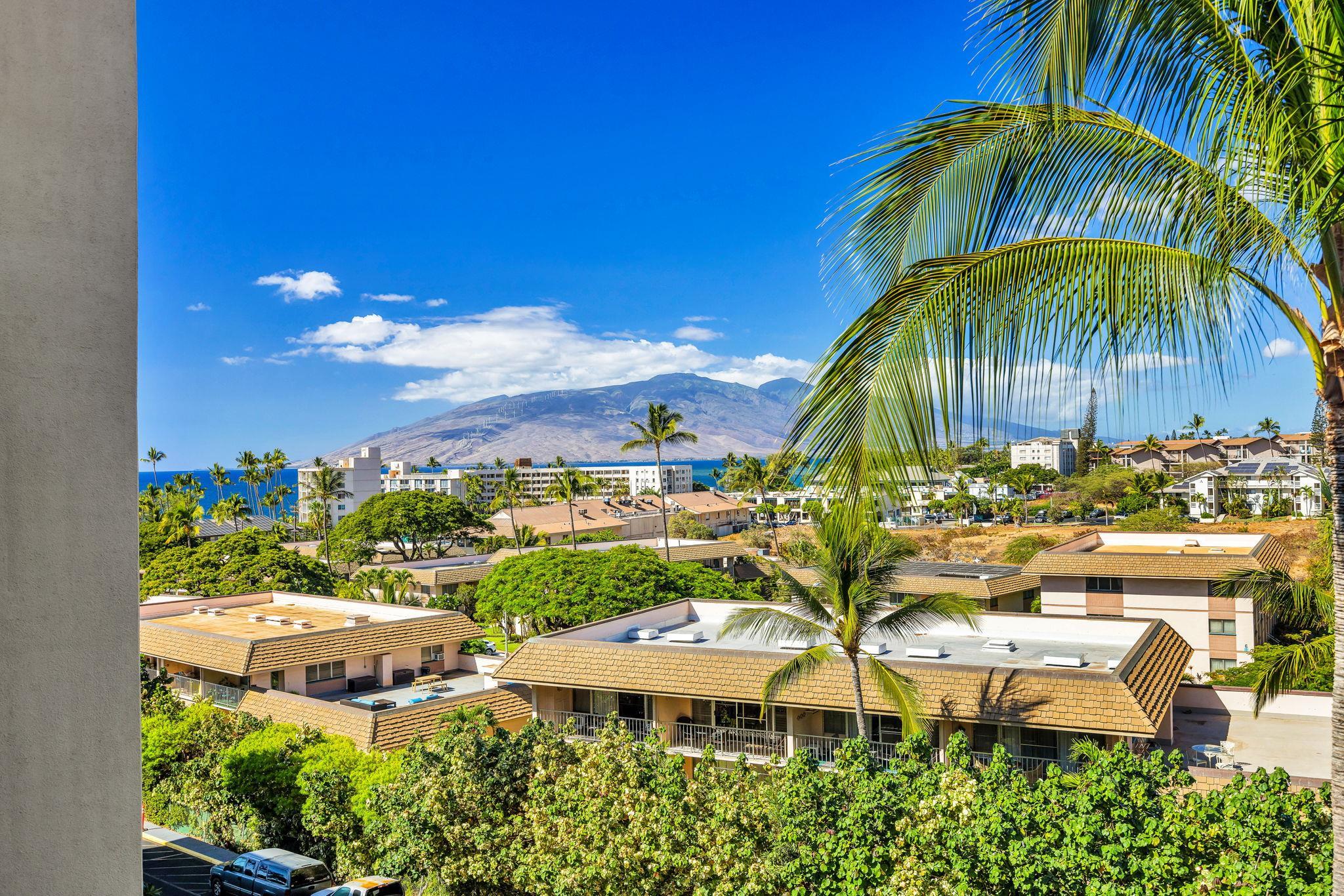 2531 South Kihei Road, Unit C620 Kihei, HI 96753 - Photo 31 of 38 a view of a backyard with plants and a patio