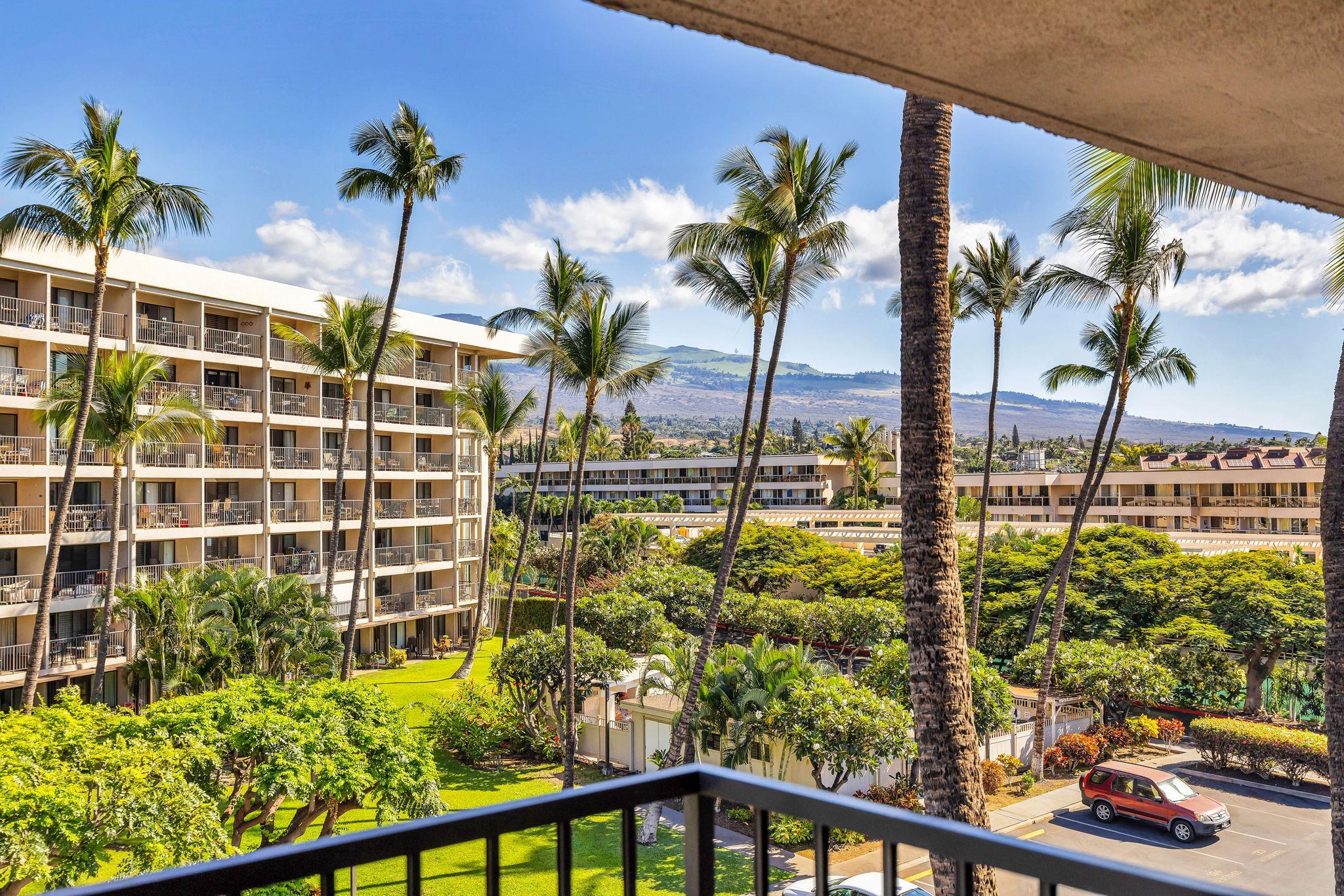 2531 South Kihei Road, Unit C620 Kihei, HI 96753 - Photo 33 of 38 a view of a palm tree from a balcony