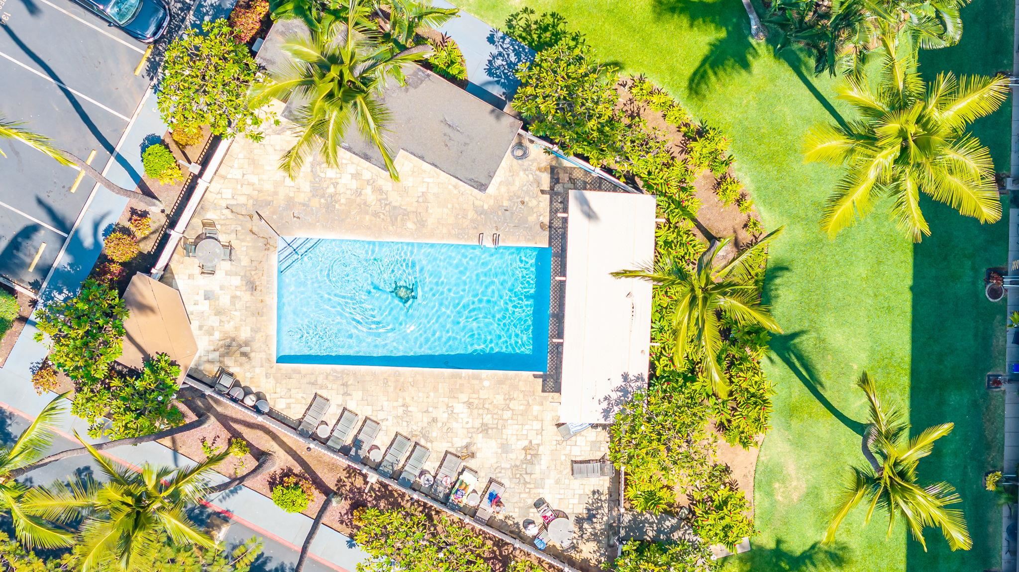 2531 South Kihei Road, Unit C620 Kihei, HI 96753 - Photo 8 of 38 a view of a yard with plants