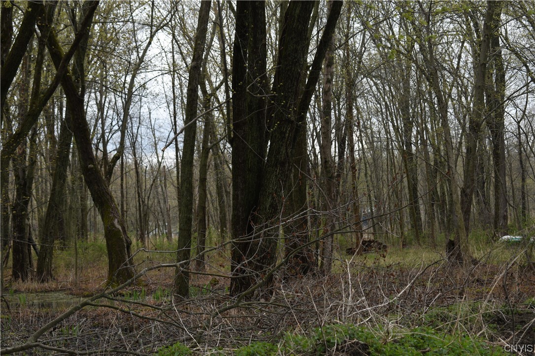 Undisclosed Address West Monroe, NY 13167 - Photo 14 of 15