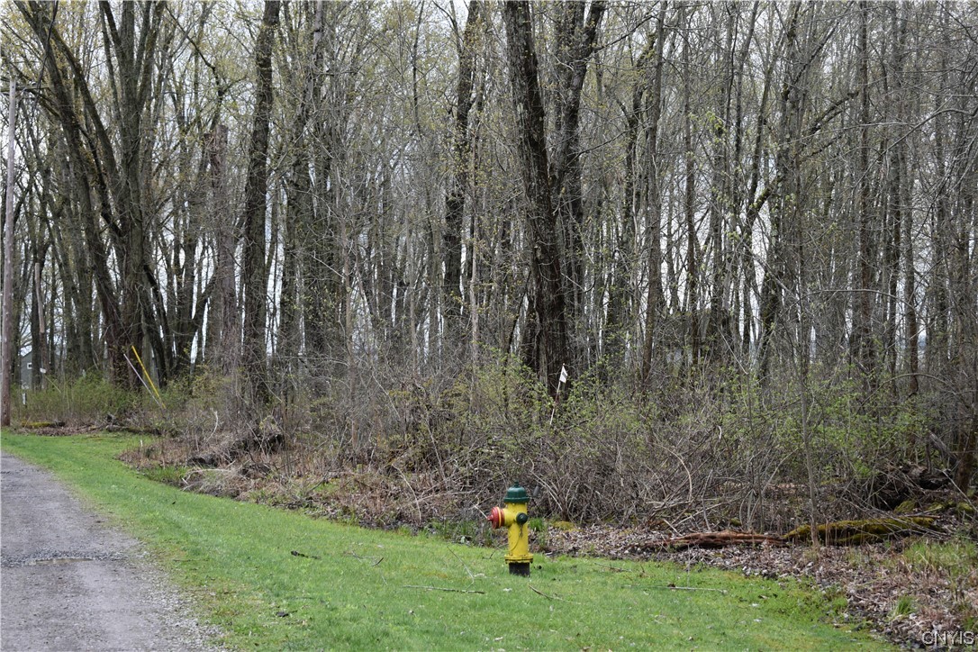 Undisclosed Address West Monroe, NY 13167 - Photo 2 of 15