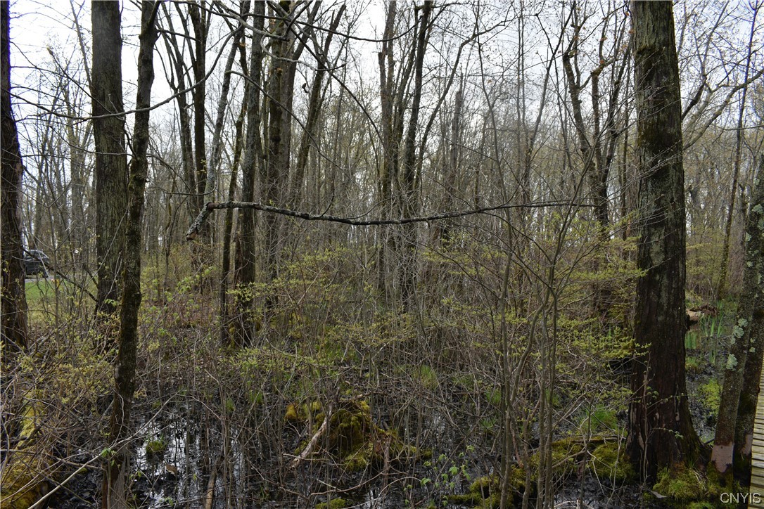 Undisclosed Address West Monroe, NY 13167 - Photo 4 of 15