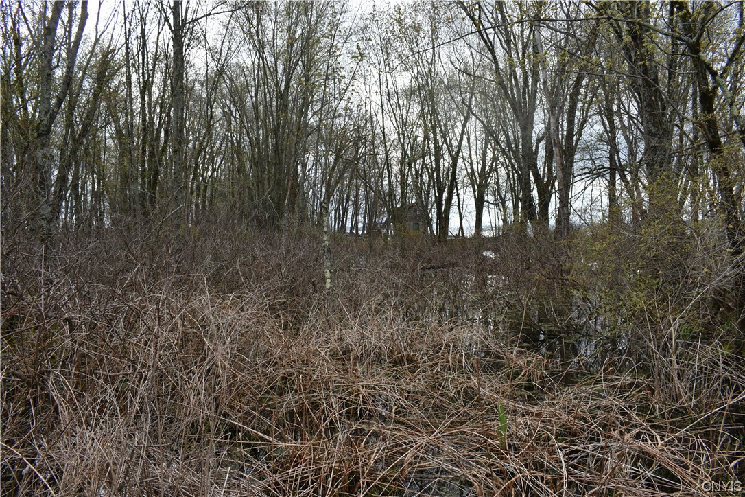 Undisclosed Address West Monroe, NY 13167 - Photo 5 of 15