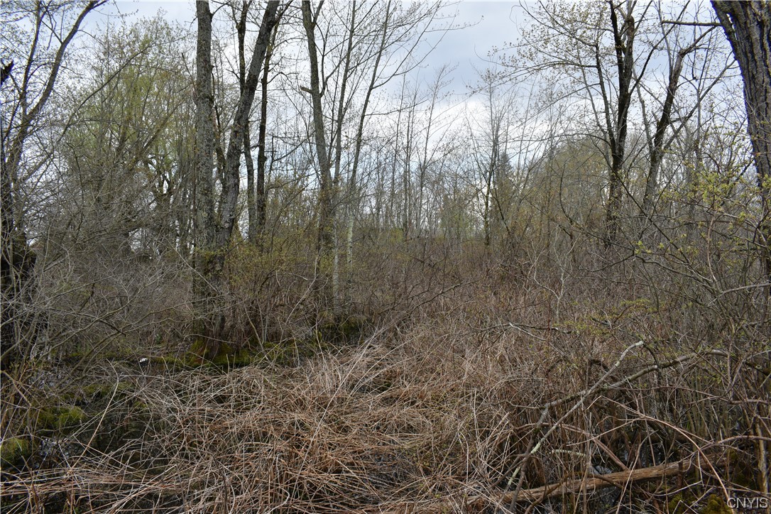 Undisclosed Address West Monroe, NY 13167 - Photo 6 of 15