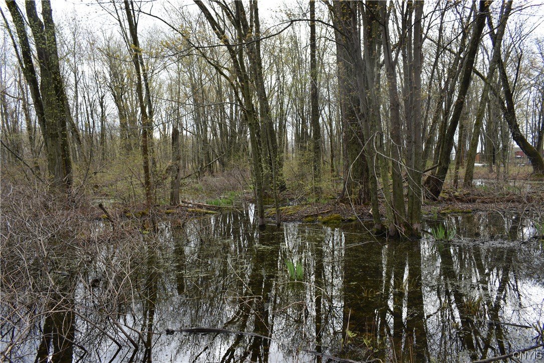 Undisclosed Address West Monroe, NY 13167 - Photo 8 of 15