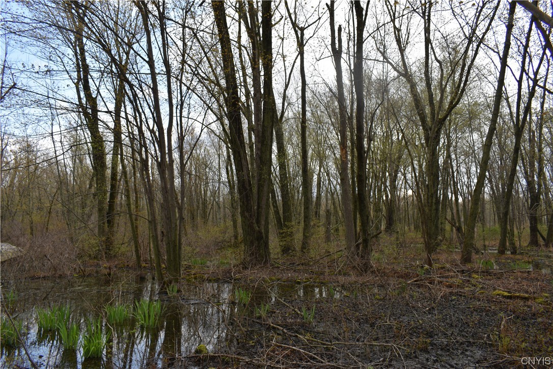 Undisclosed Address West Monroe, NY 13167 - Photo 9 of 15