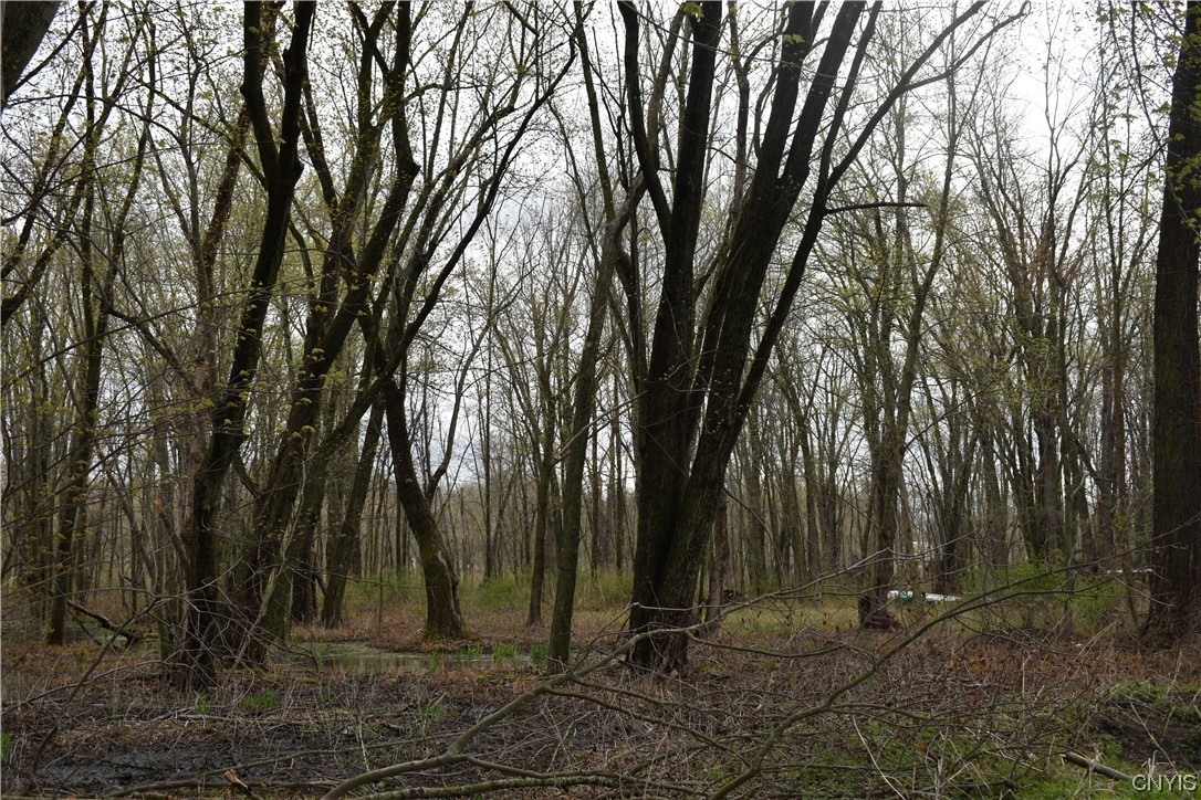 Undisclosed Address West Monroe, NY 13167 - Photo 10 of 15