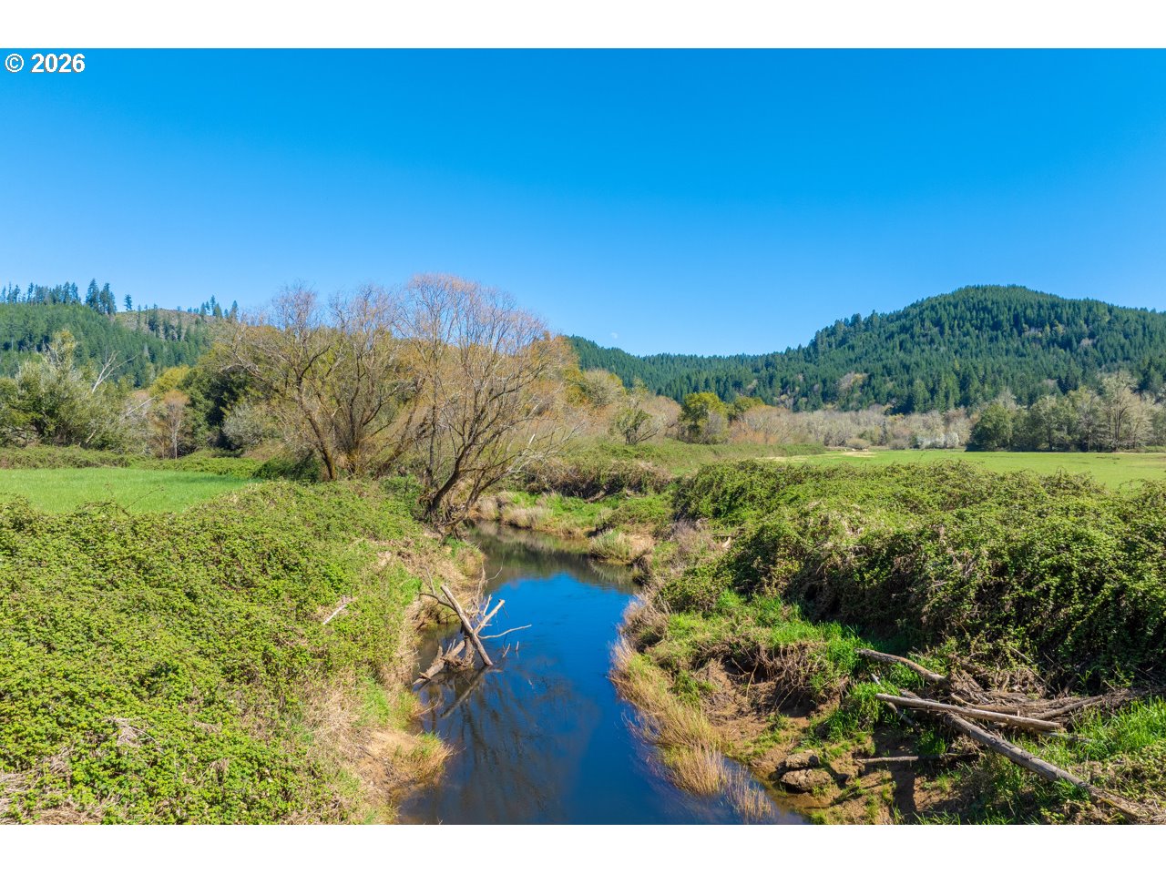 13818 Loon Lake Road Reedsport, OR 97467 - Photo 5 of 32
