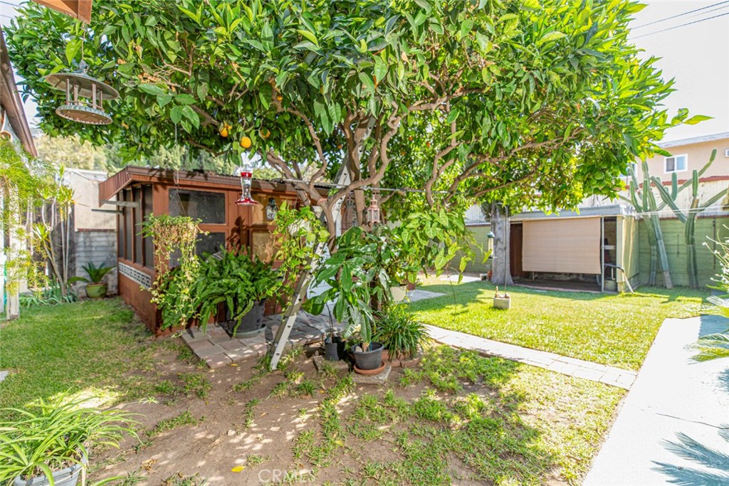 1130 Park Avenue Glendale, CA 91205 - Photo 42 of 75 a view of a backyard with plants and large tree