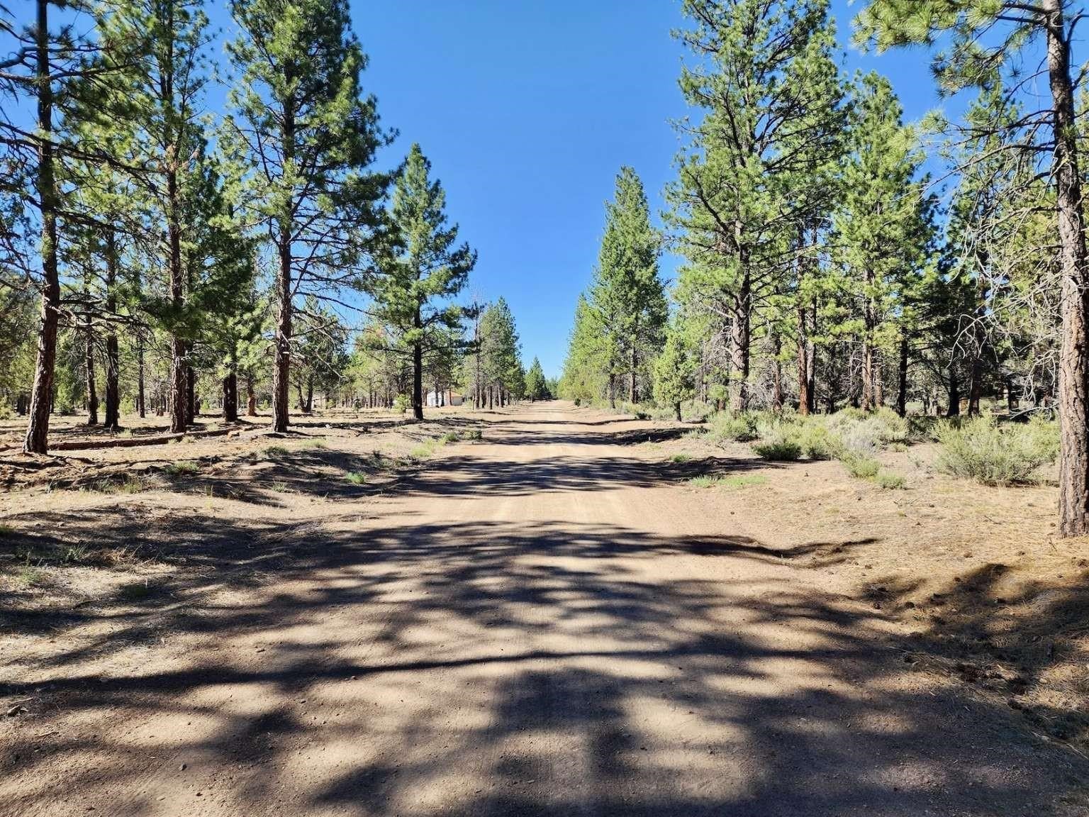 26400 Butte Creek Road Macdoel, CA 96058 - Photo 11 of 20 Gallery Image 11