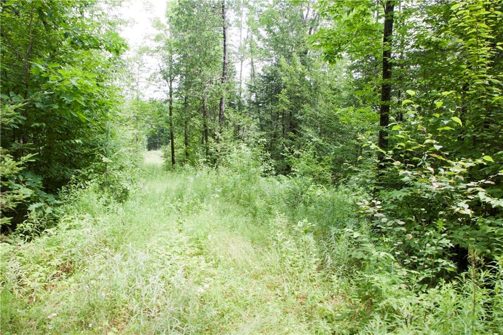 366 Maple Road Dover-Foxcroft, ME 04426 - Photo 6 of 12 Photo