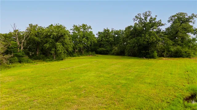 a picture of flowers