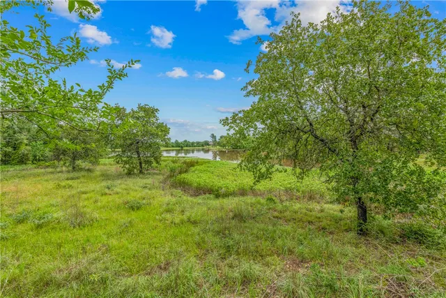 a view of a big yard with large trees