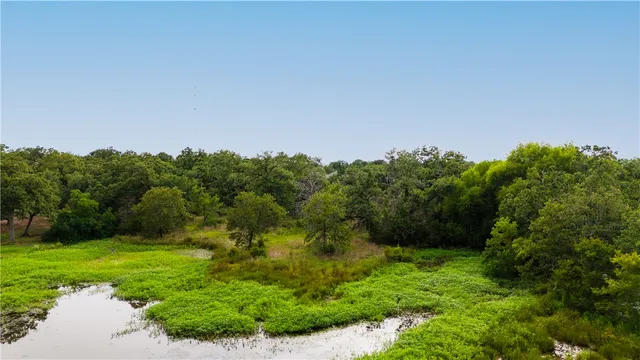 a view of a yard with an outdoor space