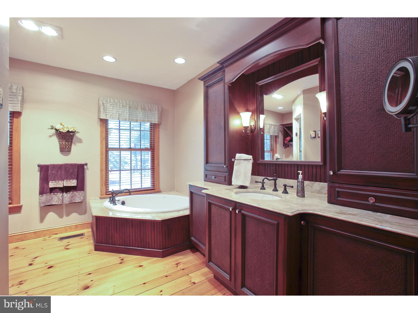 262 Beaver Run Road Ottsville, PA 18942 - Photo 20 of 25 Master Bathroom