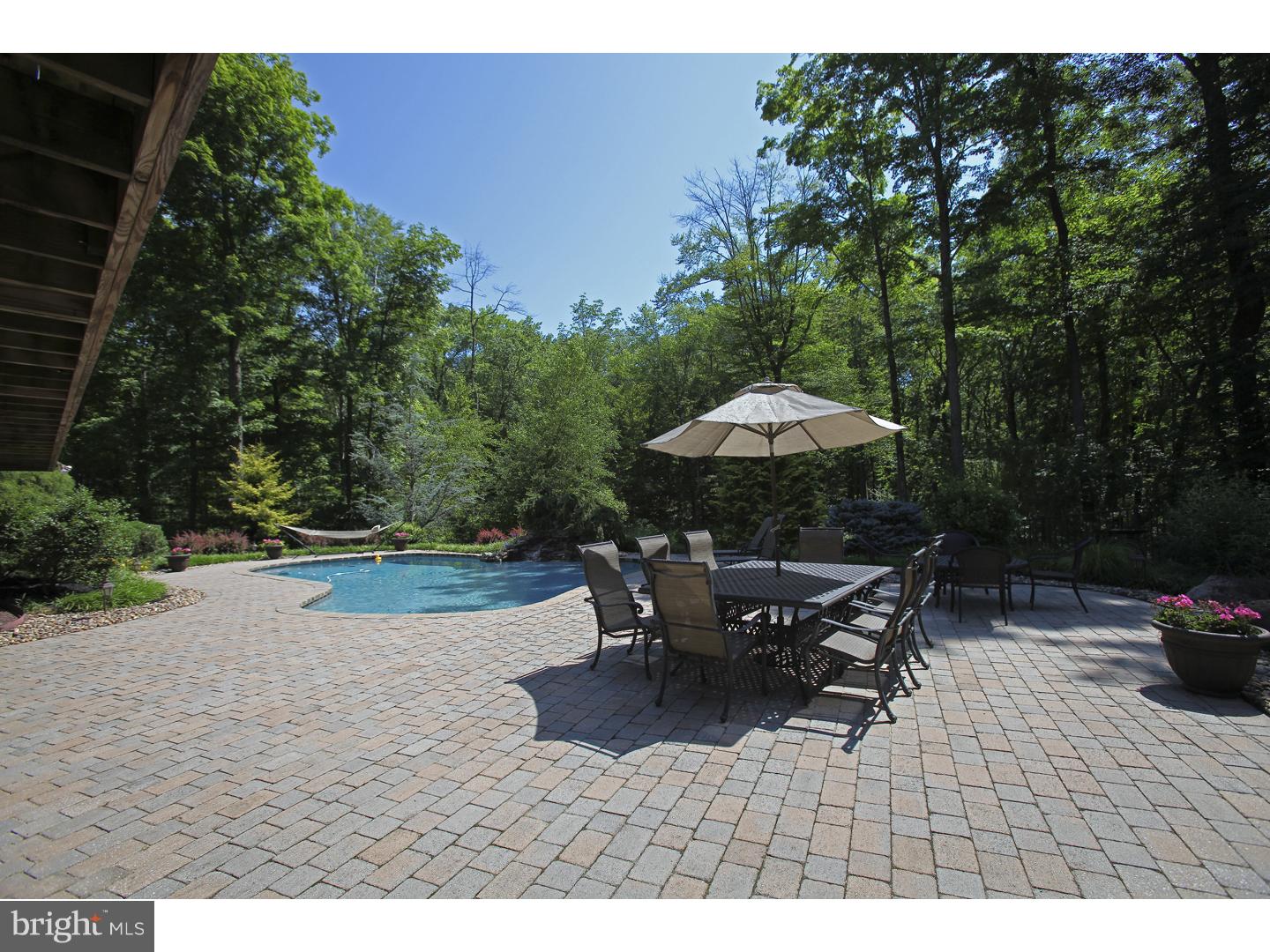 262 Beaver Run Road Ottsville, PA 18942 - Photo 6 of 25 Pool