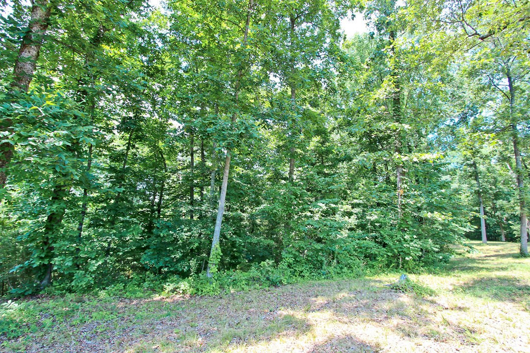 2-3 Orange Pride Road Newport, TN 37821 - Photo 14 of 23 IMG_7390