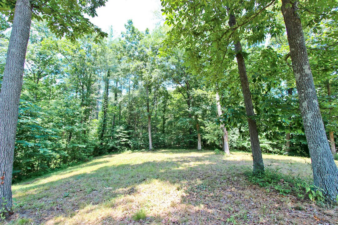 2-3 Orange Pride Road Newport, TN 37821 - Photo 18 of 23 IMG_7395
