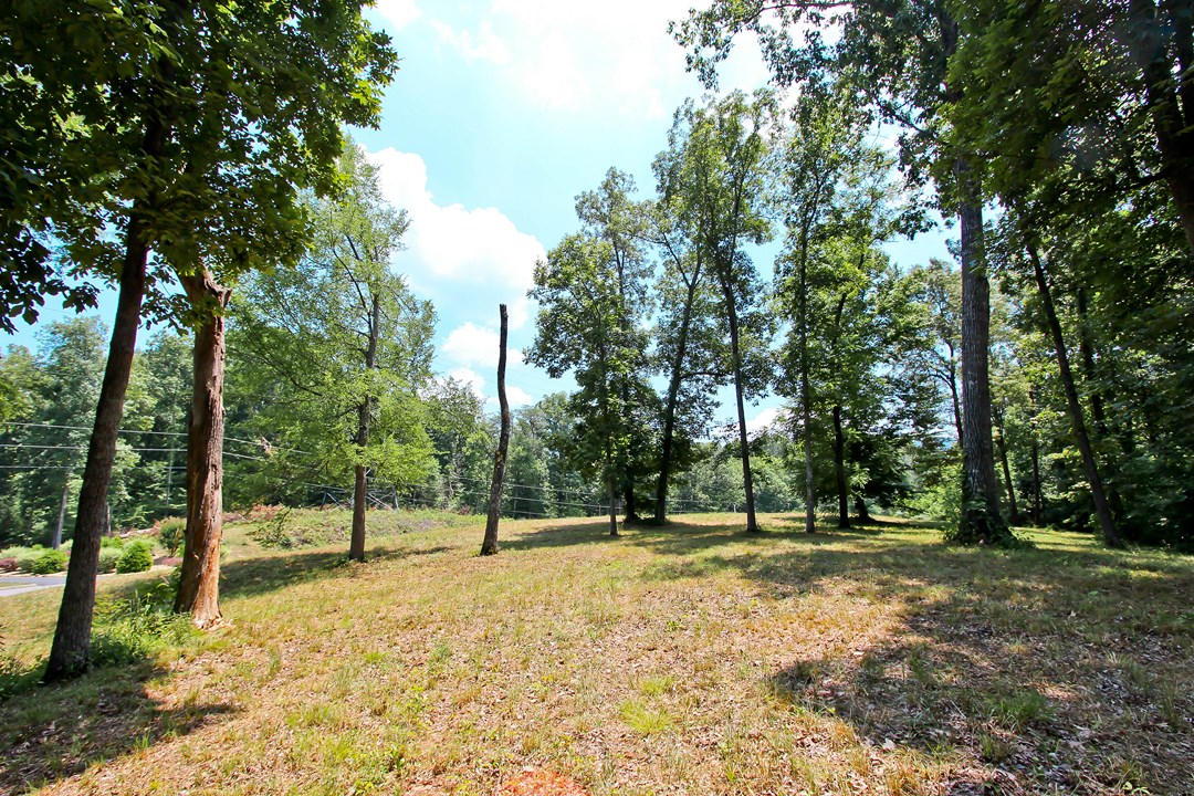 2-3 Orange Pride Road Newport, TN 37821 - Photo 20 of 23 IMG_7397