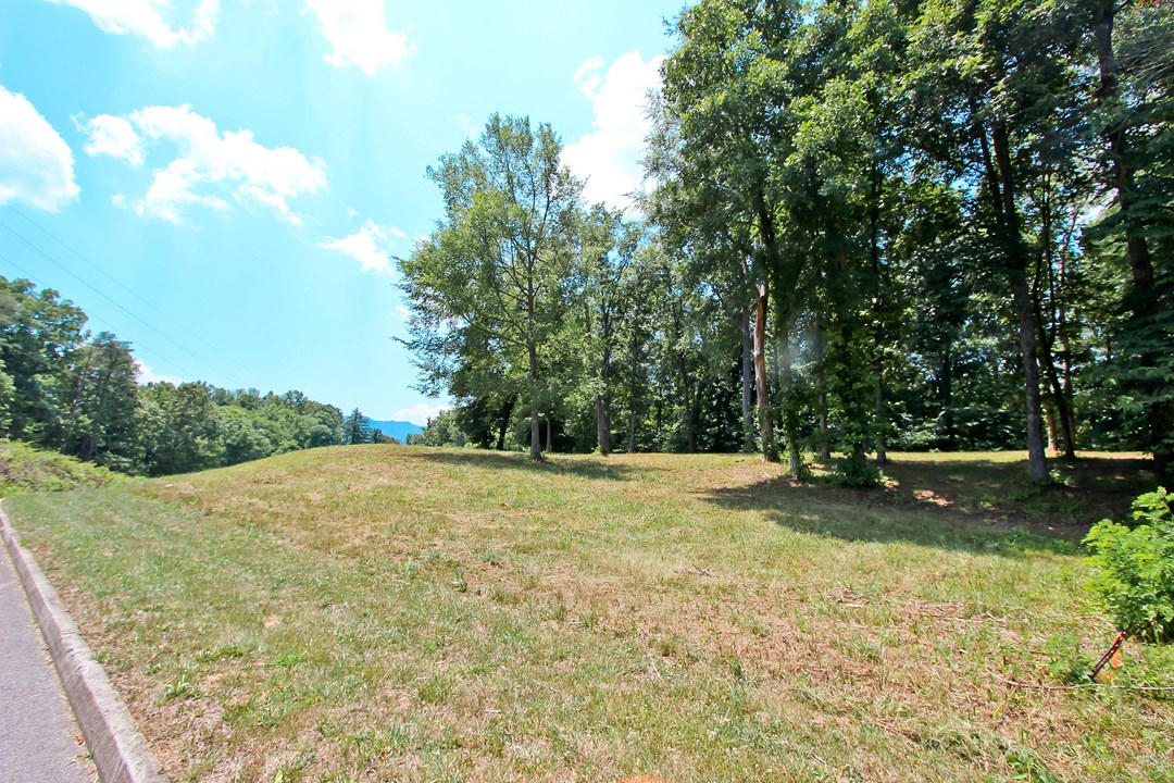 2-3 Orange Pride Road Newport, TN 37821 - Photo 3 of 23 IMG_7379