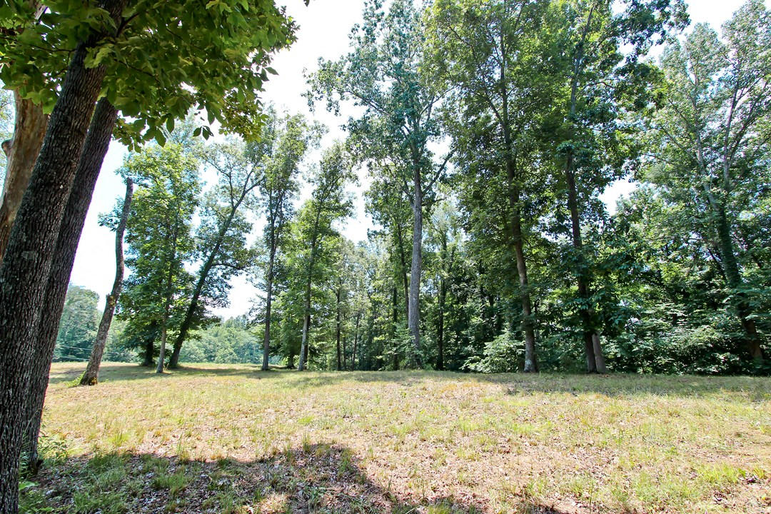 2-3 Orange Pride Road Newport, TN 37821 - Photo 21 of 23 IMG_7398