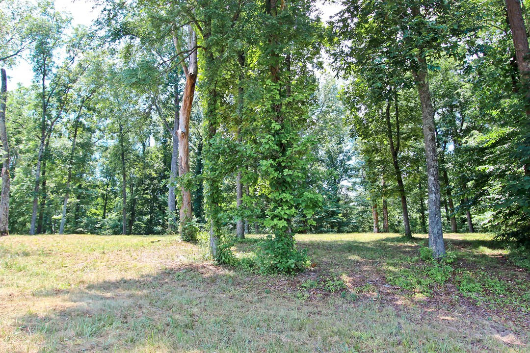 2-3 Orange Pride Road Newport, TN 37821 - Photo 23 of 23 IMG_7400