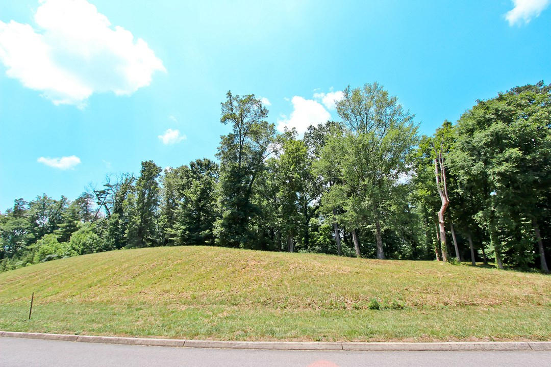 2-3 Orange Pride Road Newport, TN 37821 - Photo 5 of 23 IMG_7381