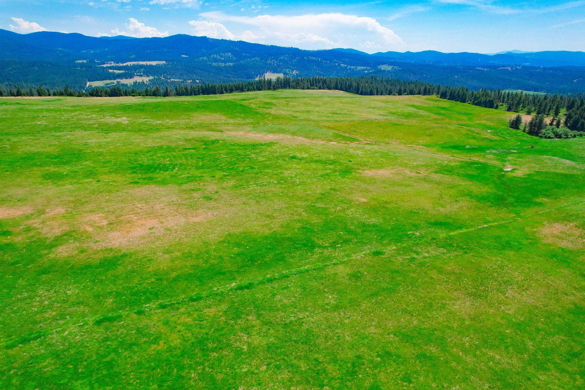 L8 North Orchard Bluff Road Chattaroy, WA 99003 - Photo 14 of 16