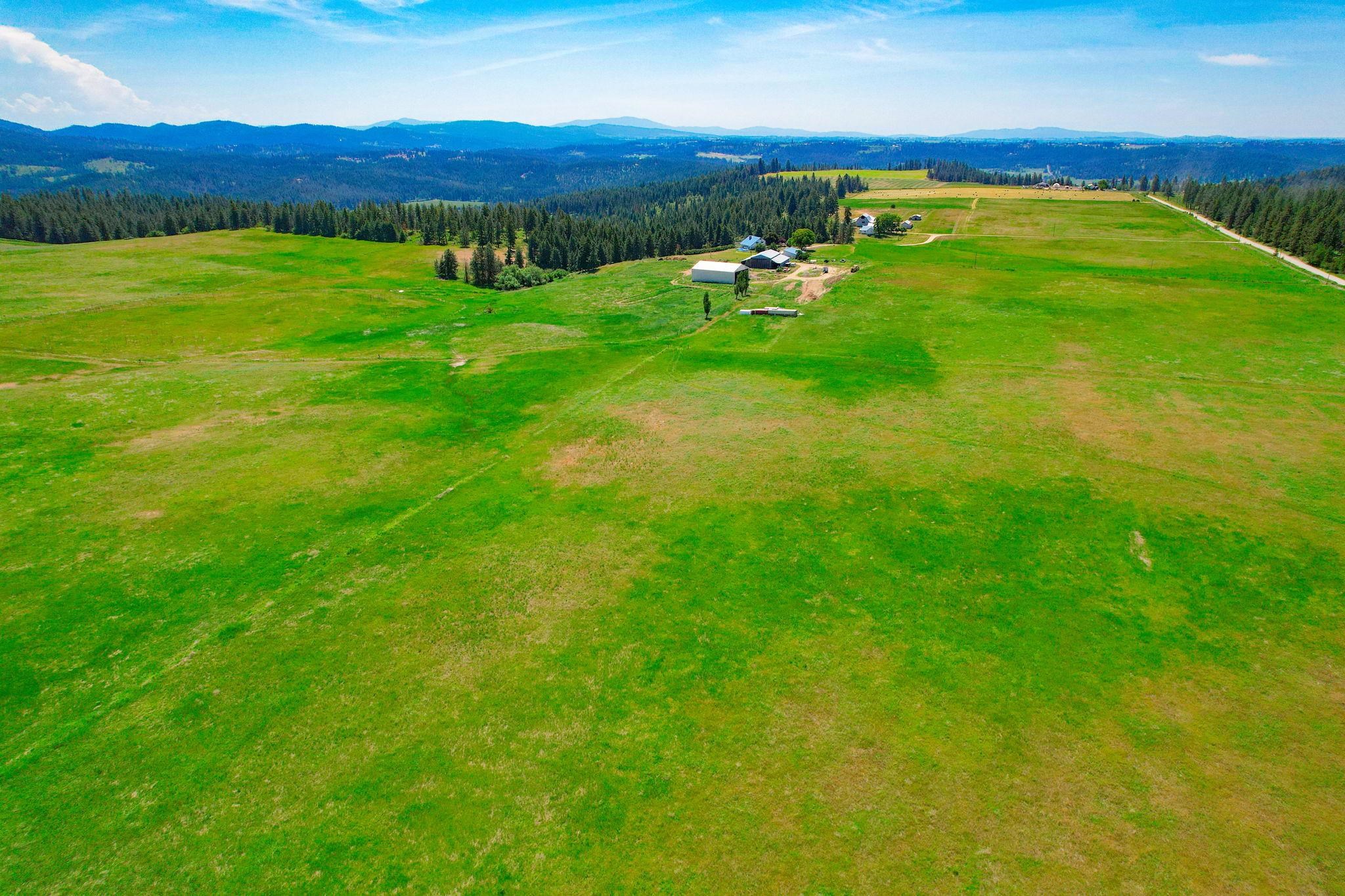 L8 North Orchard Bluff Road Chattaroy, WA 99003 - Photo 15 of 16