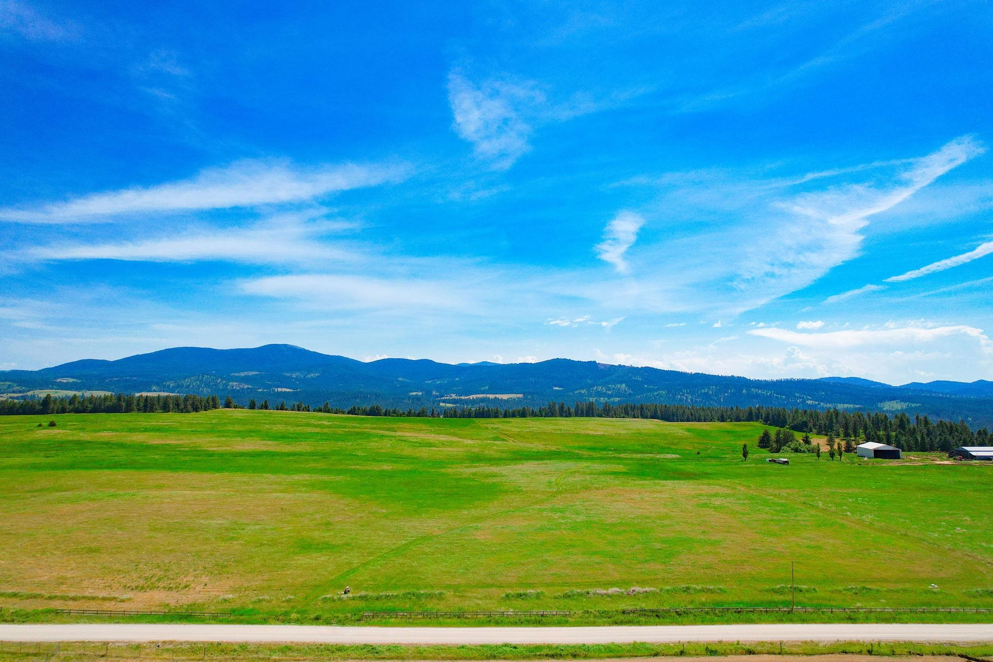 L8 North Orchard Bluff Road Chattaroy, WA 99003 - Photo 3 of 16