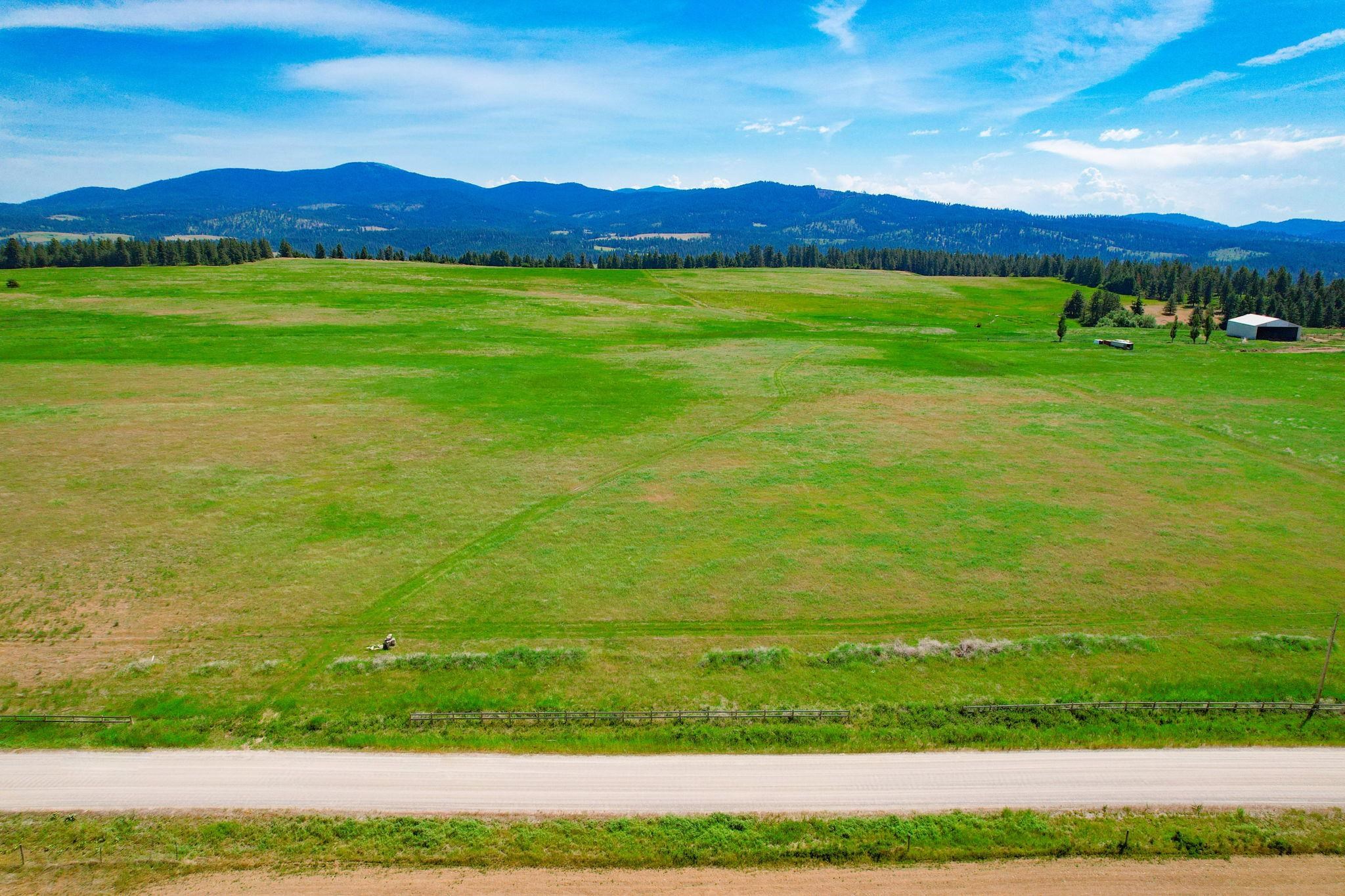 L8 North Orchard Bluff Road Chattaroy, WA 99003 - Photo 4 of 16