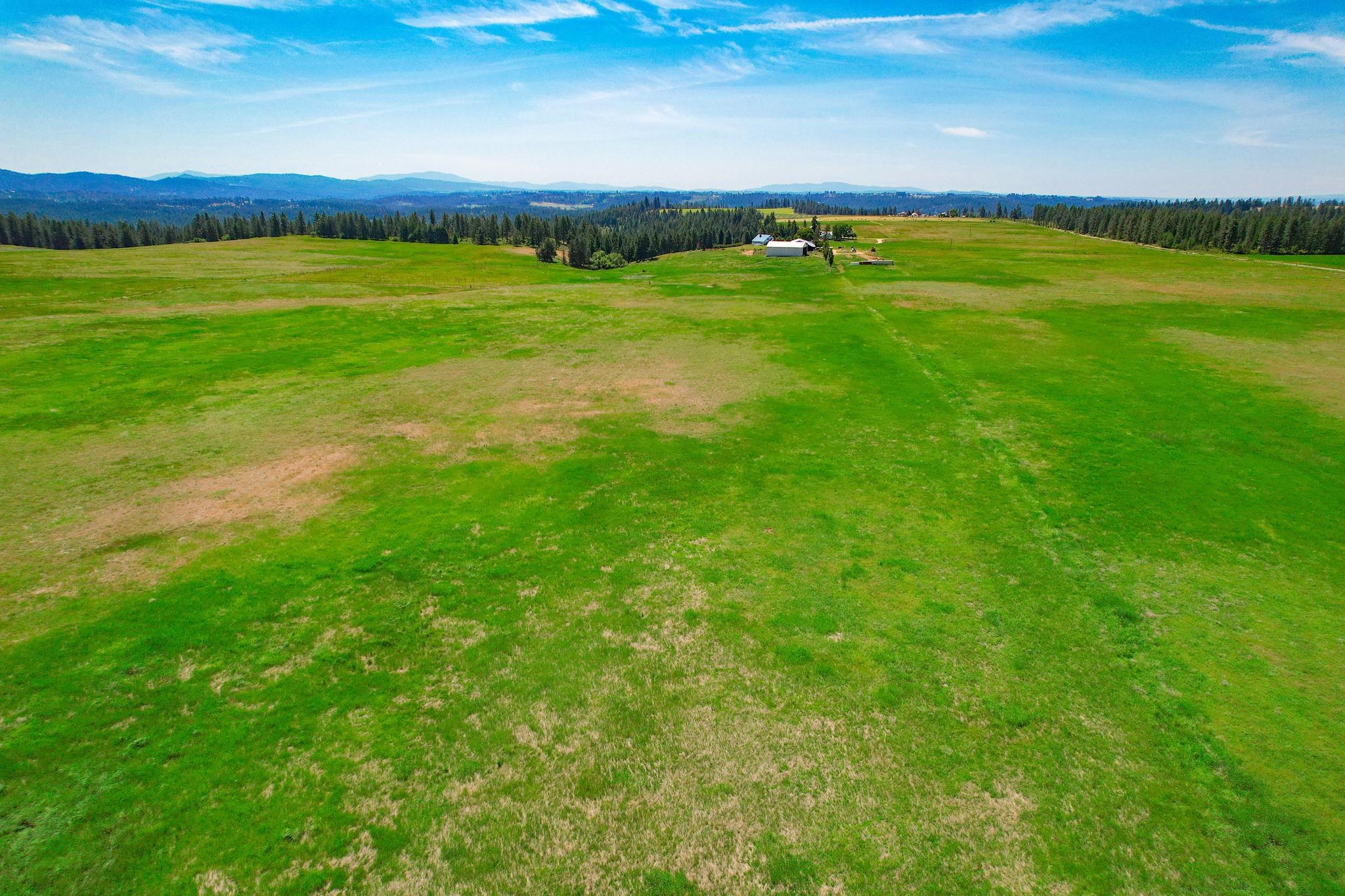 L8 North Orchard Bluff Road Chattaroy, WA 99003 - Photo 7 of 16