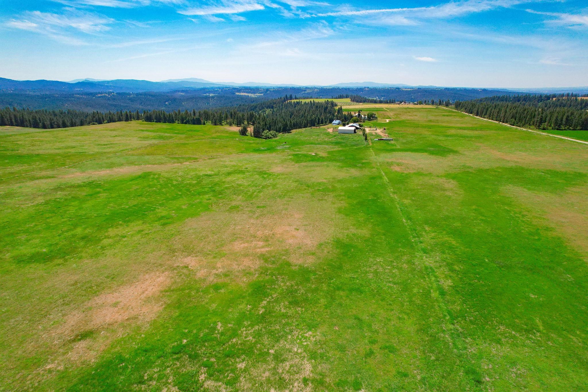 L8 North Orchard Bluff Road Chattaroy, WA 99003 - Photo 8 of 16