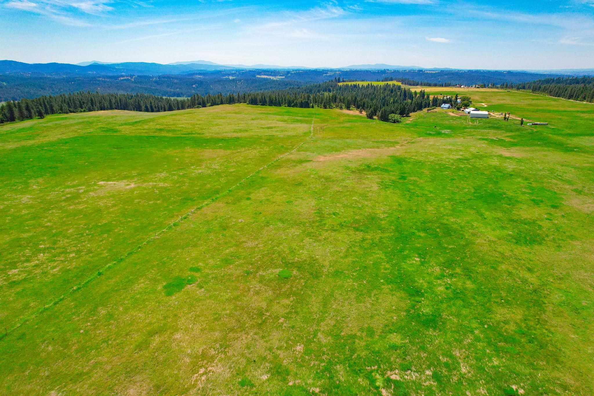 L8 North Orchard Bluff Road Chattaroy, WA 99003 - Photo 9 of 16