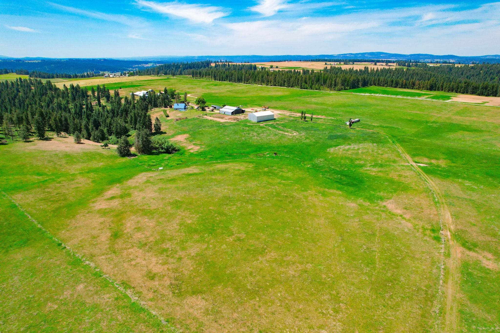 L8 North Orchard Bluff Road Chattaroy, WA 99003 - Photo 10 of 16