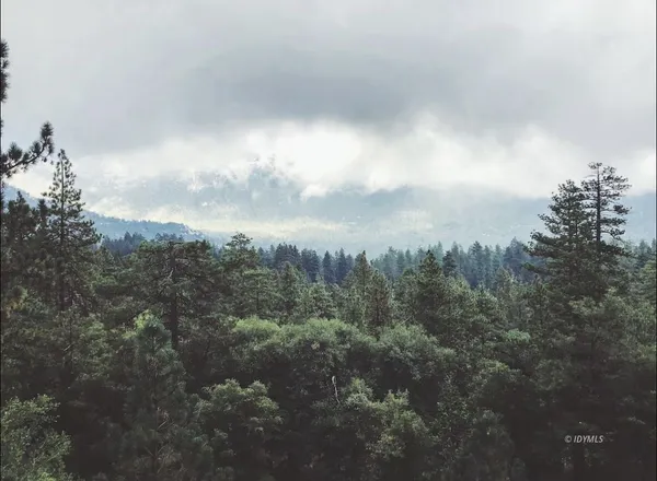 $785,000 | 23916 Highway 243, Idyllwild, CA 92549