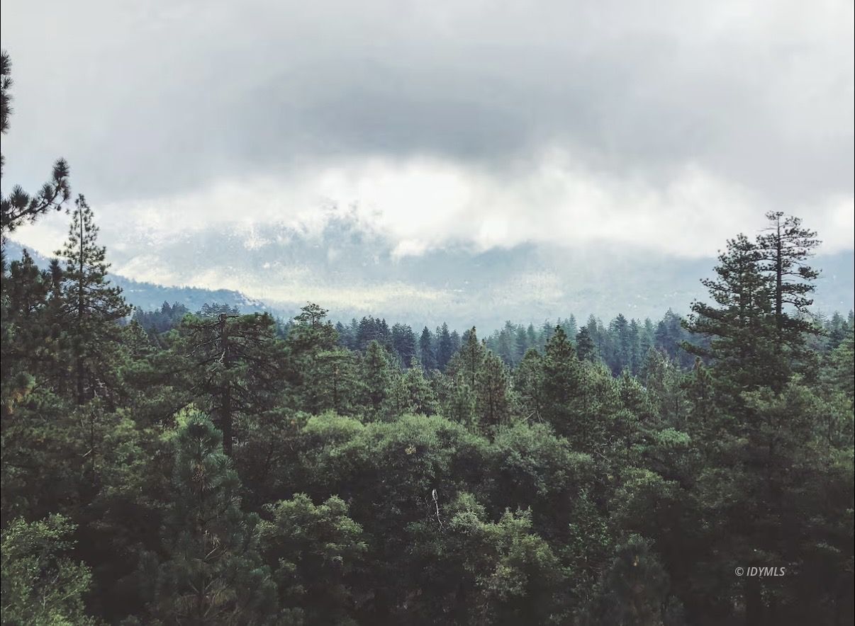 23916 Highway 243 Idyllwild, CA 92549 - Photo 4 of 47 a view of a city