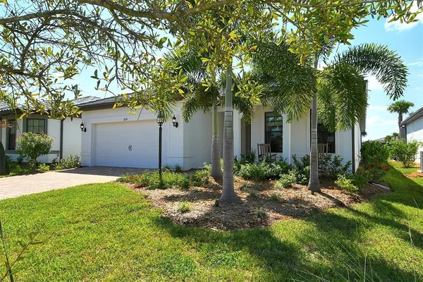 a backyard of a house with plants and large tree